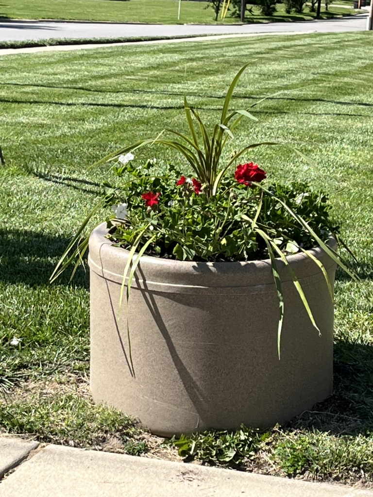 Garden photo